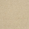 Abingdon Love Story Soft Whisper Carpet Exen Flooring