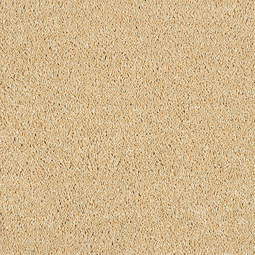 Abingdon Love Story Soft Whisper Carpet Exen Flooring