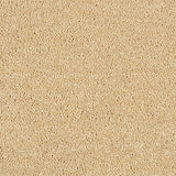 Abingdon Love Story Soft Whisper Carpet Exen Flooring