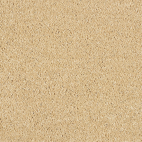 Abingdon Love Story Soft Whisper Carpet Exen Flooring