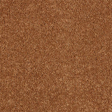 Abingdon Love Story Soft Whisper Carpet Exen Flooring