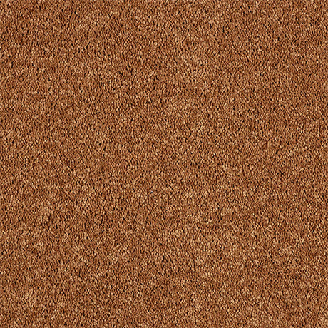 Abingdon Love Story Soft Whisper Carpet Exen Flooring