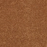 Abingdon Love Story Soft Whisper Carpet Exen Flooring
