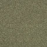 Abingdon Love Story Soft Whisper Carpet Exen Flooring