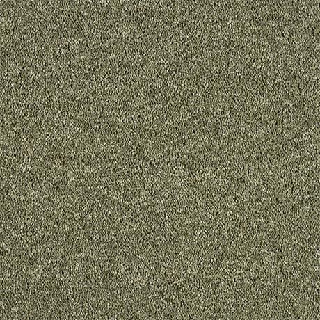 Abingdon Love Story Soft Whisper Carpet Exen Flooring