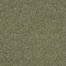 Abingdon Love Story Soft Whisper Carpet Exen Flooring