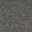 Exen Flooring Abingdon Love Story Wild Silk Carpet Belgravia