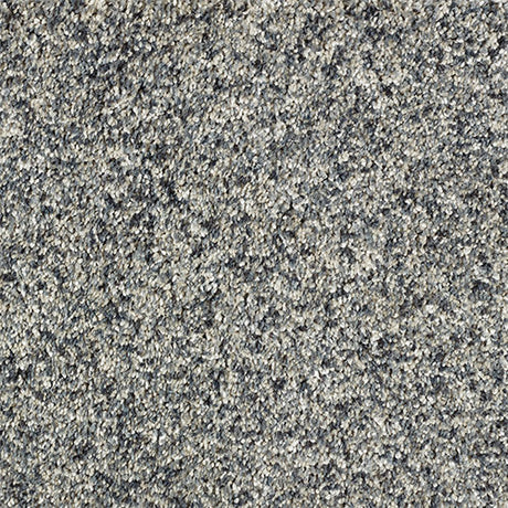Abingdon Love Story Wild Silk Carpet Exen Flooring Metallica