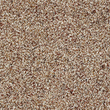 Exen Flooring Abingdon Love Story Wild Silk Carpet Treasure Island