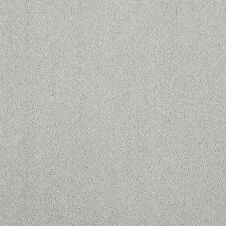 Abingdon Pure Elegance Carpet Exen Flooring