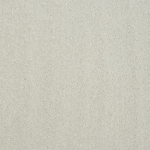 Abingdon Pure Elegance Carpet Exen Flooring