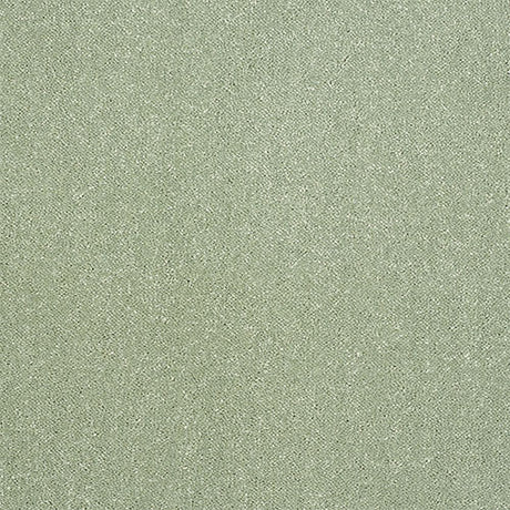 Abingdon Pure Elegance Carpet Exen Flooring