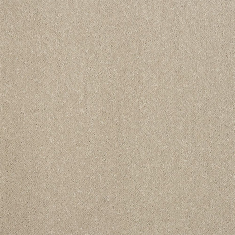 Abingdon Pure Elegance Carpet Exen Flooring