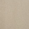 Abingdon Pure Elegance Carpet Exen Flooring