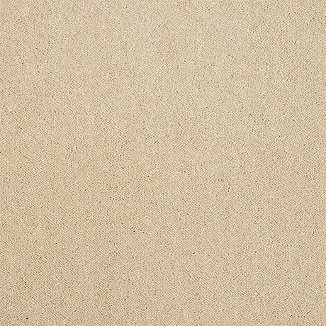 Abingdon Pure Elegance Carpet Exen Flooring