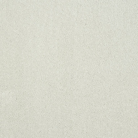 Abingdon Pure Elegance Carpet Exen Flooring