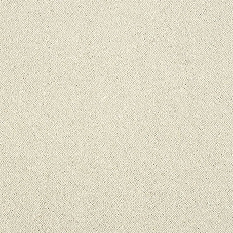 Abingdon Pure Elegance Carpet Exen Flooring
