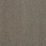 Abingdon Pure Elegance Carpet Exen Flooring