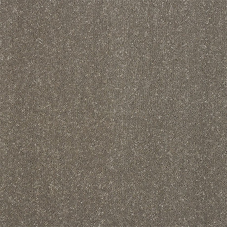 Abingdon Pure Elegance Carpet Exen Flooring