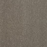 Abingdon Pure Elegance Carpet Exen Flooring