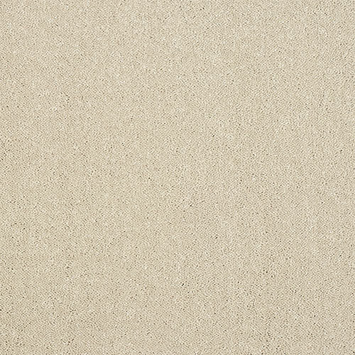 Abingdon Pure Elegance Carpet Exen Flooring