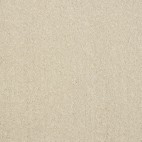 Abingdon Pure Elegance Carpet Exen Flooring