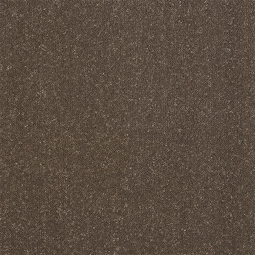 Abingdon Pure Elegance Carpet Exen Flooring