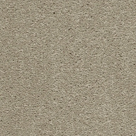 Associated Weavers Brooklyn Carpet Exen Flooring