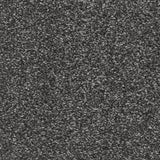 Associated Weavers Brooklyn Carpet Exen Flooring