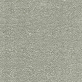 Associated Weavers Surprise Carpet Exen Flooring