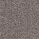 Associated Weavers Surprise Carpet Exen Flooring