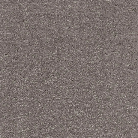 Associated Weavers Surprise Carpet Exen Flooring