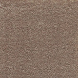 Associated Weavers Surprise Carpet Exen Flooring