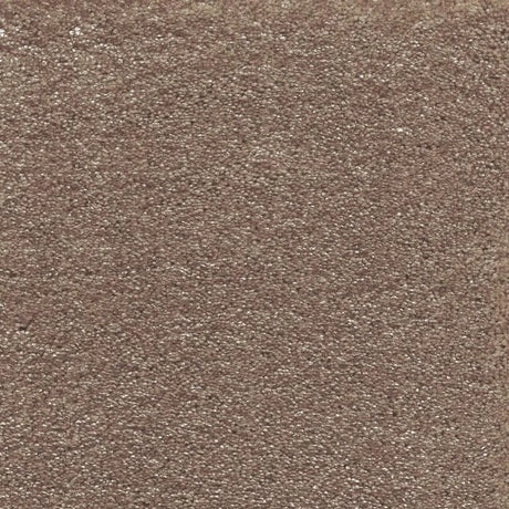 Associated Weavers Surprise Carpet Exen Flooring