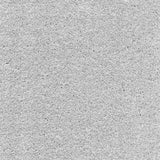 Associated Weavers Surprise Carpet Exen Flooring