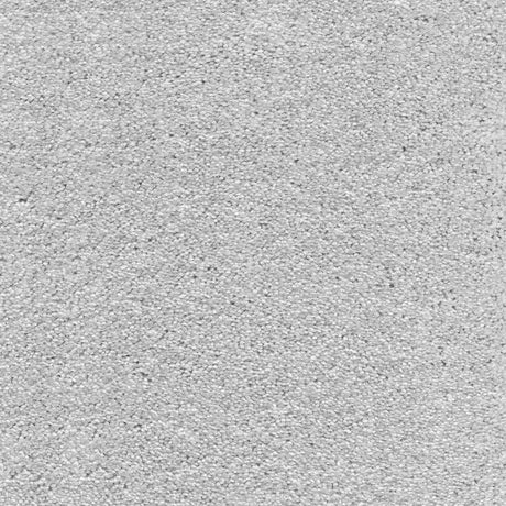 Associated Weavers Surprise Carpet Exen Flooring