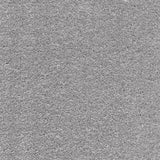 Associated Weavers Surprise Carpet Exen Flooring