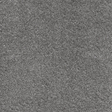 Associated Weavers Surprise Carpet Exen Flooring