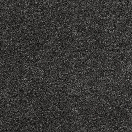 Associated Weavers Surprise Carpet Exen Flooring