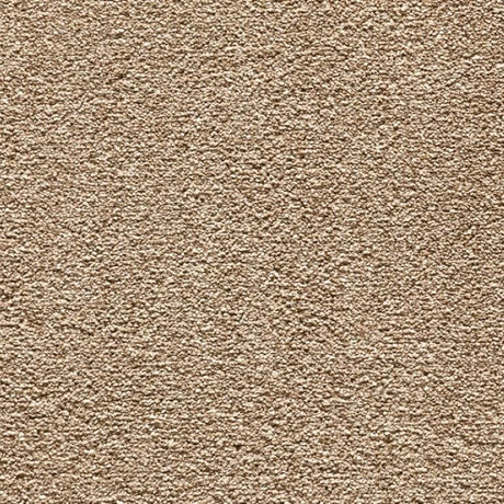 Balta Endless Charm Carpet Exen Flooring