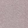 Balta Endless Charm Carpet Exen Flooring
