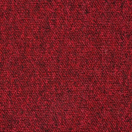 Balta Gala Carpet (FB) Exen Flooring
