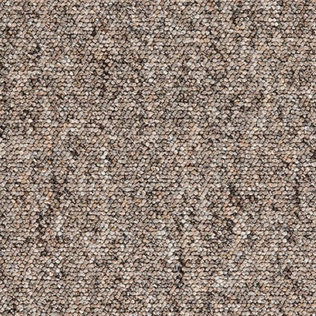 Balta Gala Carpet (FB) Exen Flooring