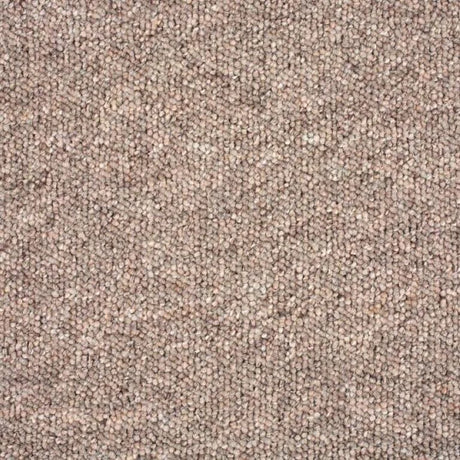 Balta Gala Carpet (FB) Exen Flooring