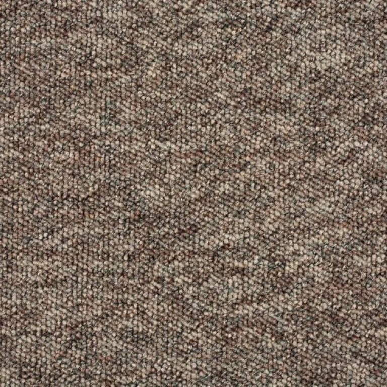 Balta Gala Carpet (FB) Exen Flooring