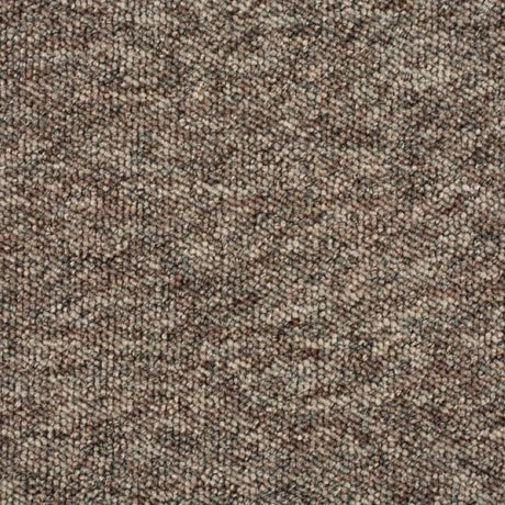 Balta Gala Carpet (FB) Exen Flooring