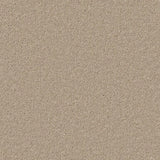 Cormar Hampstead Deluxe Carpet Exen Flooring