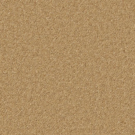 Cormar Hampstead Deluxe Carpet Exen Flooring
