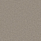 Cormar Hampstead Deluxe Carpet Exen Flooring