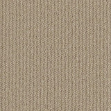 Cormar Primo Textures Carpet Exen Flooring